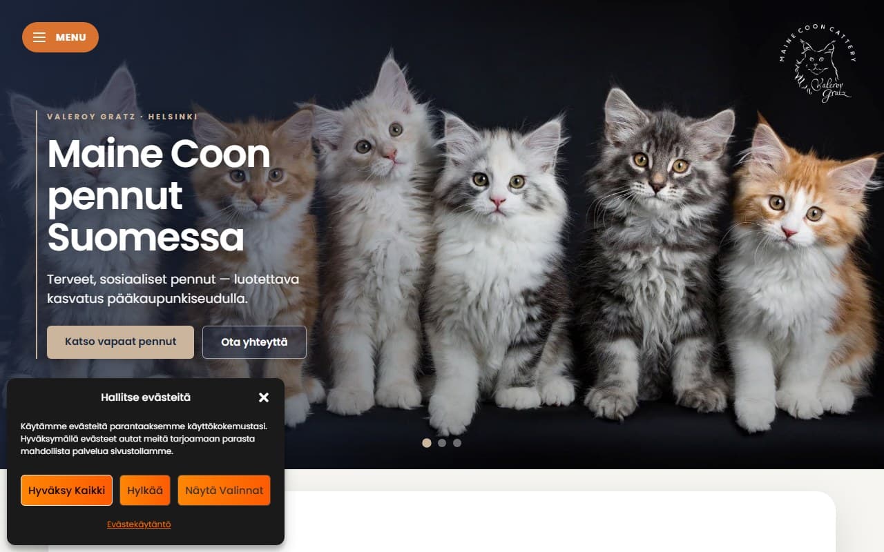 Maine Coon Cat kasvattaja verkkosivu Suomessa - Maine Coon -kissakasvatus ja pentuja
